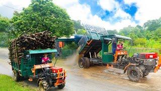 Use Trucks To Transport Sand - Help Villagers Transport Wood To The Lumberyard - Live With Nature