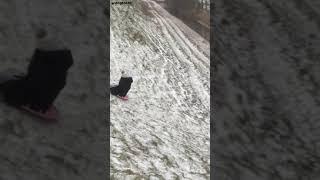 Teen's Sled Flies Into Freezing Water at Bottom of Hill || Dogtooth Media