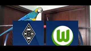 Borussia Monchengladbach vs Wolfsburg Prediction - Bundesliga - Parrot Prediction