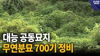 법원읍 대능 공동묘지 무연분묘 700기 정비 [파주] 딜라이브 뉴스