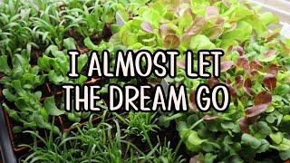 I Almost Let the Dream Go... | Homestead Dreaming