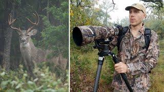 Warblers, woodpeckers, deer | Rainy fall morning in Hill Country, Texas | Wildlife vlog