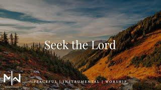 Seek the Lord | Soaking Worship Music Into Heavenly Sounds // Instrumental Soaking Worship