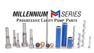 Liberty Process Equipment, Inc. Millennium Series Heavy Duty Progressive Cavity Pumps and Parts