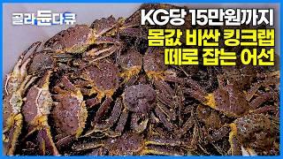 비싸도 맛있어! 노르웨이 어선에서 한국까지 반나절만에 도착하는 최고급 '레드 킹크랩'｜하루종일 깜깜한 노르웨이 겨울 바다｜레드 킹크랩 먹방｜인간과바다｜#골라듄다큐