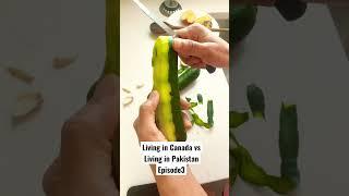 Living in #canada vs living in #pakistan # #desi #food #pakistani #canadian #asianfood #vlogger