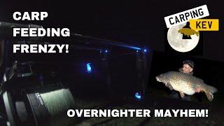 CARP FEEDING FRENZY! - OVERNIGHTER MAYHEM! Carp Syndicate Fishing in 2023 @carpingkev ​