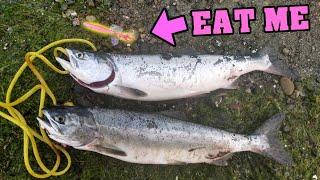 Level Up your Buzz Bomb for Pink Salmon Success