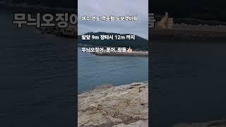 구독하고 포인트 공유받기 #여수낚시 #여수낚시포인트 #여수여행 #연도 #여수연도 #연도낚시