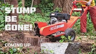 TMG Industrial GSG9 Walk-Behind Kohler Powered Stump Grinder