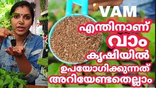 VAM | ജൈവ ജീവാണു വളം | 5 പ്രയോജനങ്ങൾ| 5 ഉപയോഗരീതികൾ | Micorrhiza bio fertilizer A to Z|