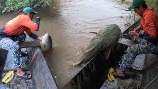 Amigos de la pesca capitulo 2 : La pesca de los parientes de pesca .