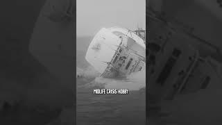 ‍️ Boat vs. Whale  #shorts