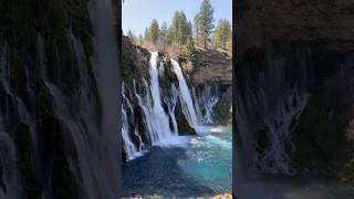 Burney Falls - The Eighth Wonder of the World! #waterfall #burneyfalls