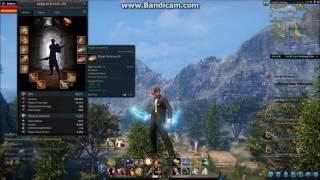 Riders of Icarus - Assassin Build/Tips + Gear Used Showcase