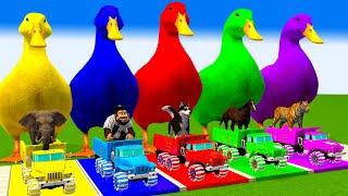 5 Giant Duck, Monkey, Piglet, chicken, dog, cat, cow, Sheep, Transfiguration funny animal 2023