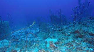 Hidden Reefs in the Indian Ocean