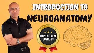 Intro to Neuroanatomy | Neurophysiology | Neuroscience | Central Nervous System