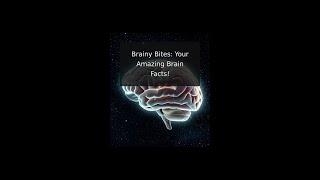 Brainy Bites: Your Amazing Brain Facts!