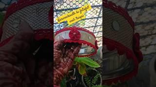 Karwachauth ki fatafat wali taiyari #karwachauth #youtube #shorts @richabrij