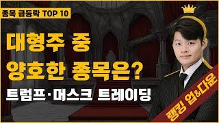 대형주 중 가장 양호한 종목은? / 시장 방향은 결국 트럼프·머스크 트레이딩 #랭킹업앤다운