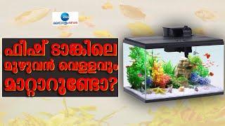 Aquarium Cleaning | അക്വേറിയം ടാങ്കിനെ കുറിച്ച് എപ്പോഴുമുള്ള സംശയങ്ങൾ