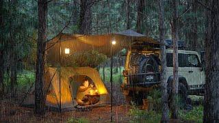 Coziest RAIN CAMPING in a Pine Forest [ SOLO Relaxing in a Tent and Tarp shelter, ASMR ]