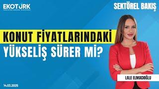 Konut fiyatlarındaki yükseliş sürer mi? | Sektörel Bakış | Nilüfer Kas | Lale Elmacıoğlu