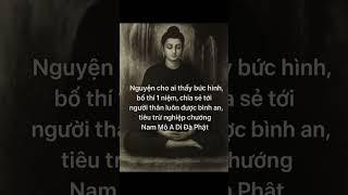 Phật #loiphatday #loivangphatdaythichphaphoa #phongthuy #trietlysong #phậtpháp #baihoccuocsong