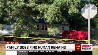 Family dogs find human remains