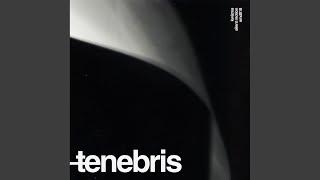 Tenebris (Original Mix)