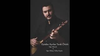 Eşinden Ayrılan Yaralı Ördek