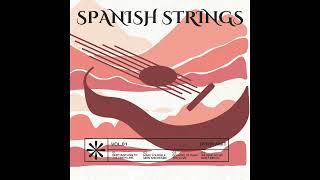 Spanish Strings Vol. 1 by Ophir | Royalty Free Guitar Sample Packs