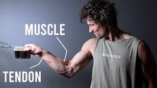 Mind-Blowing Finger Strength Study with Dr. Keith Baar