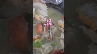 돌산 청춘마차  #조옥성박사tv
