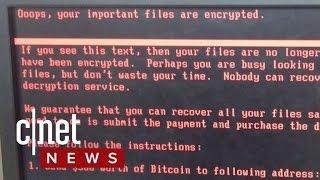 Nasty Petya Ransomware Spreading Fast (CNET News)