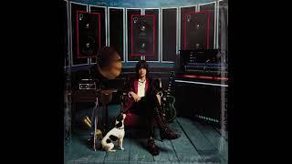 Julian Casablancas - 11th Dimension [HQ]