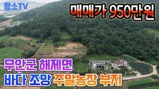 [전남토지매매] #1689 무안군 해제면 바다 조망 주말농장 부지 매매가 950만원