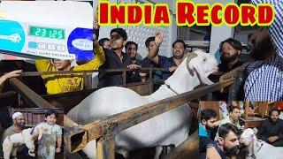 231 Kg On Weight Machine | New Record India | Anas Bhai And Imdad Bhai Mumbai.