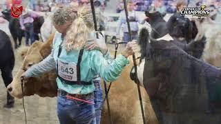 2022 Ohio State Fair – Reserve Grand Champion Market Beef
