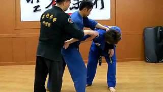 (86)How to do a  by  turning flying arm bar "Gongkwon Yusul" (Korean Martial Arts)