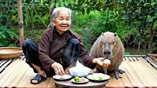 Capybara cùng Bà ra đồng tìm kiếm thức ăn #capybara #funny #haihuoc