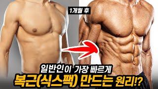 일반인이 '복근'(식스팩)을 만들려면 어떻게 해야될까?