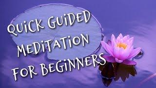 5 Minute Guided Meditation for Beginners (