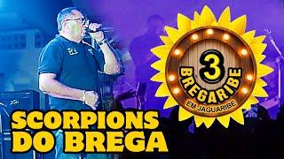 SCORPIONS DO BREGA - 3° BREGARIBE EM JOÃO PESSOA