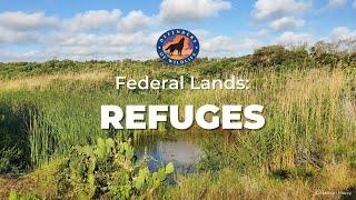 Federal Lands: National Wildlife Refuge System