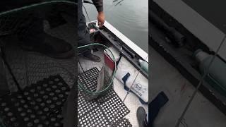 Jigging For Salmon leads to Hook-Up!