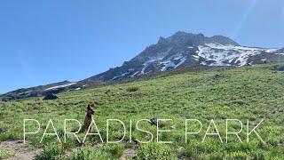 Backpacking Paradise Park (again) | Mt. Hood, Oregon