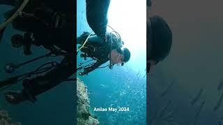 Amazing Anilao May 2024