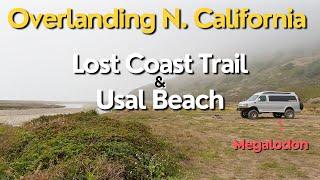 Exploring California's Secret Lost Coast - Usal Beach